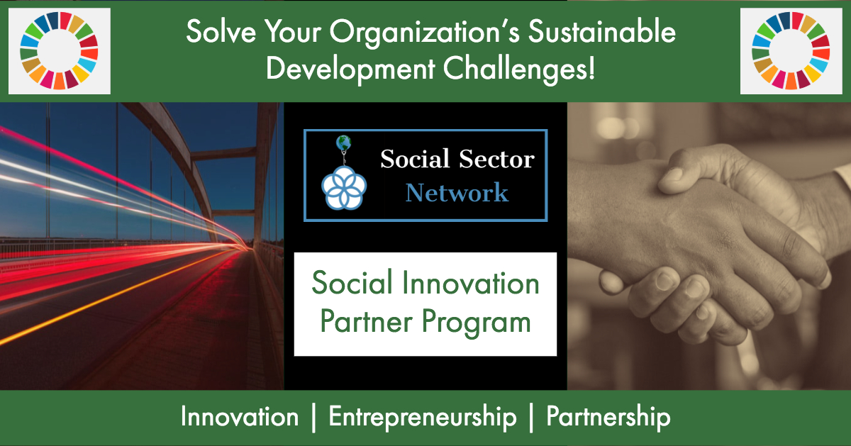  Social  Innovation Partner Program  Social  Sector Network 